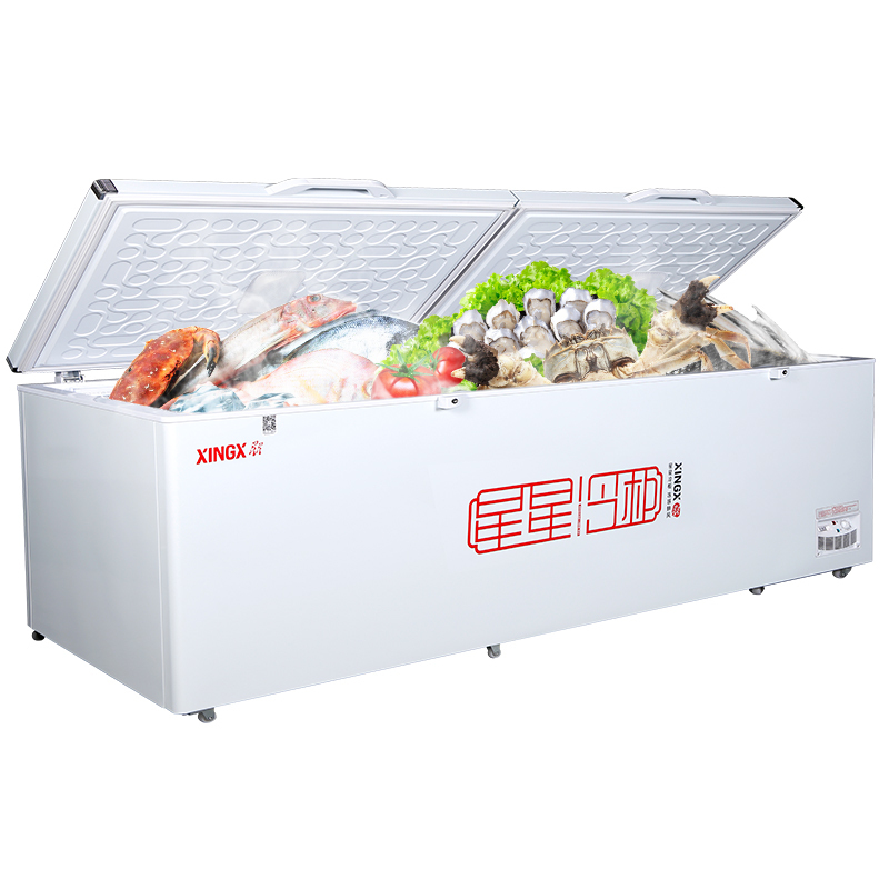 星星 (XINGX) 865升 大容量卧式冷冻柜商用大冷柜 悬停门体 BD/BC-898GE BD/BC-888GD高清大图