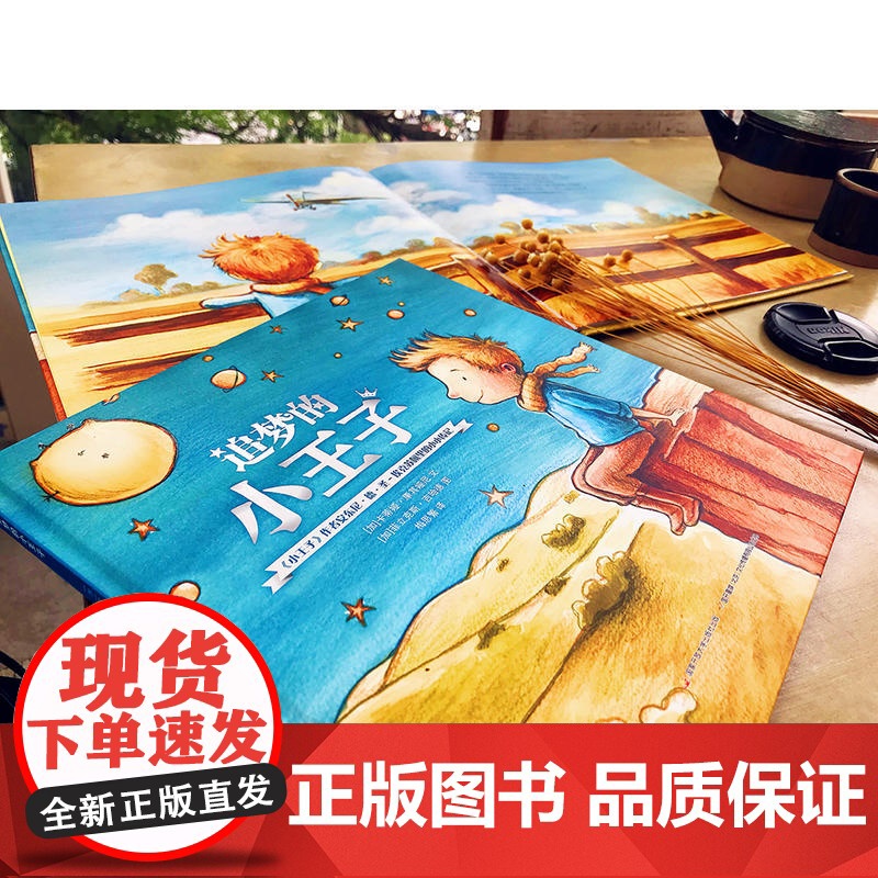 追梦的小王子·小王子之父的故事高清大图
