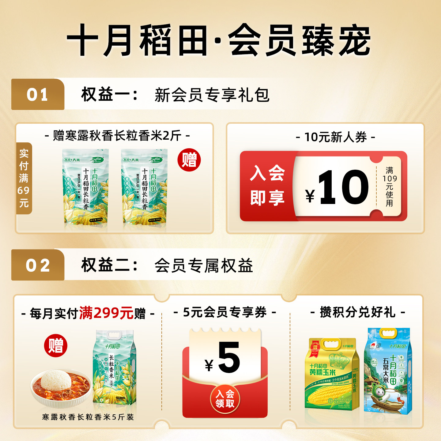 十月稻田黑糯玉米1.76kg(220g×8根)东北真空黑糯玉米棒 含花青素粗粮早餐代餐高清大图