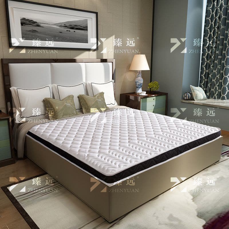 臻远 ZY3120917棕垫护脊3E椰棕床垫1200*2000图片