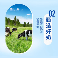 统一阿萨姆奶茶300ml*24小瓶红茶原味下午茶饮料整箱特价批
