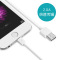 昂达XC02 iphone苹果手机充电线 2.0A 快充数据线1m