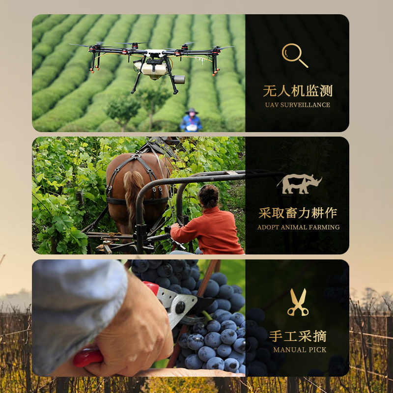 2018年黑教皇克莱蒙教皇堡副牌干红葡萄酒法国原瓶进口750ML单支装