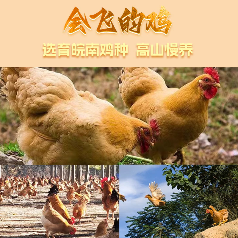 [苏鲜生推荐]雀淘 皖南金凤黄油老母鸡2.3-2.6斤/只 3只装 新鲜现杀冷冻农家慢养走地鸡