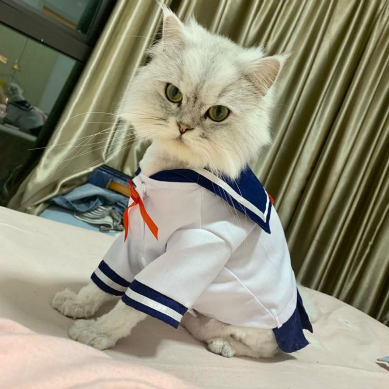 泡泡袖可爱衬衫 粉色 S 猫衣服夏装裙子猫咪狗狗可爱衬衫裙子薄款宠物制服裙水手服狗衣服