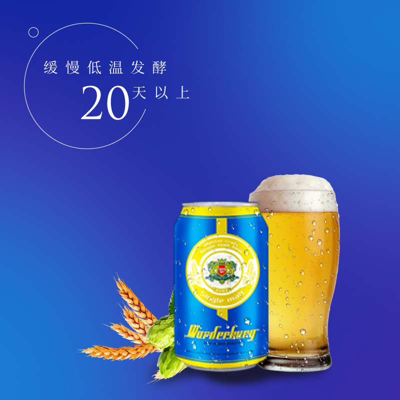 沃德古堡wurderburg 单一麦芽精酿啤酒320mL*24听国产整箱装原浆清澈型