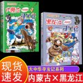 内蒙古寻宝记和黑龙江寻宝记 大中华全套正版系列 29册 版小说版山东安微云南四川泰朝宁夏朝代辽宁上海台湾