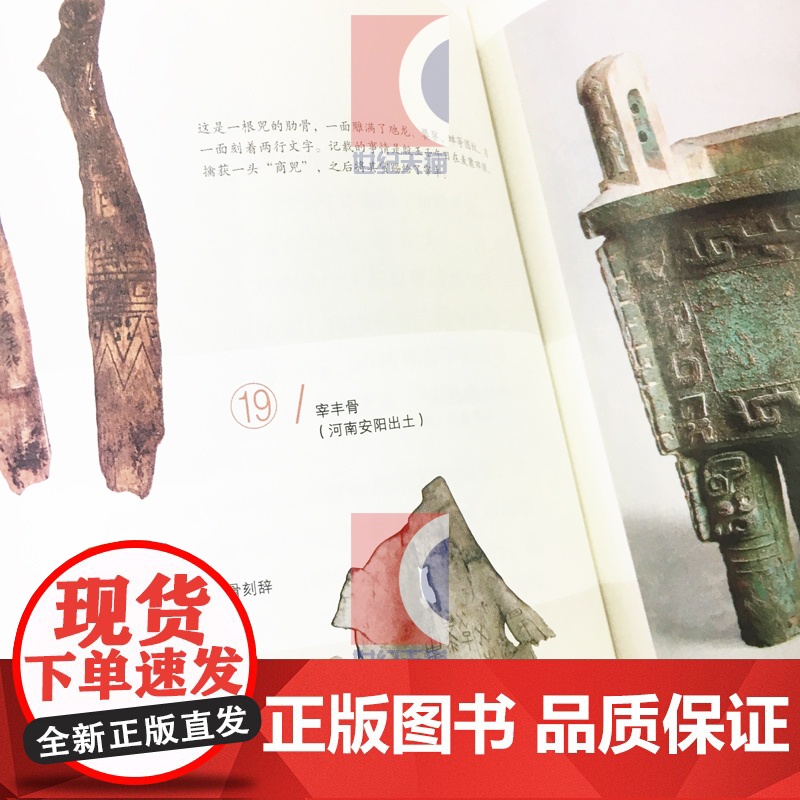 神美隐现/史前夏商卷(精装) 大美中国 廖群 著 陈炎 编 古代历史 古代艺术 文化 文物考古 正版图书籍 上海古籍出版高清大图