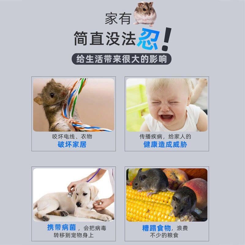 老鼠一闻死强力防驱赶老鼠神器克星一扫光老鼠消杀毒孕妇婴儿家用 强效膏(一)盒[仅剩97份]不够用图片