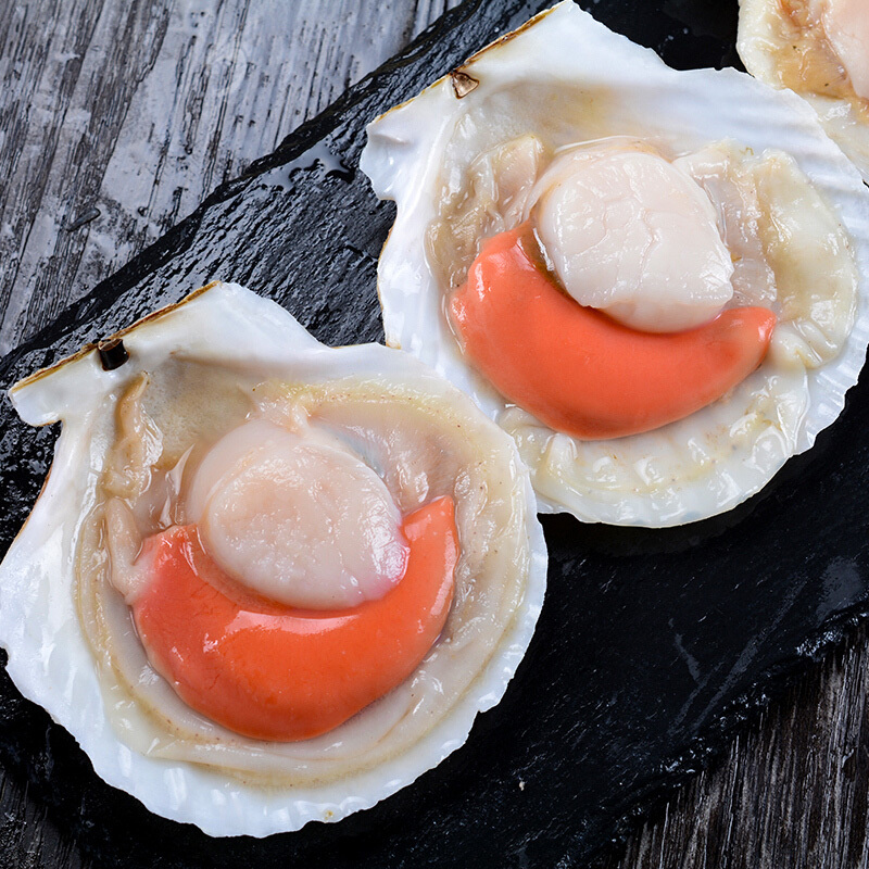 大连新鲜冷冻半壳扇贝约89厘米10只袋烧烤食材加热即食生鲜贝类可做