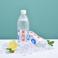 正广和 双口味组合装汽水360m1*12瓶(盐汽水、乌梅汁)老上海风味防暑解渴咸碳酸饮料