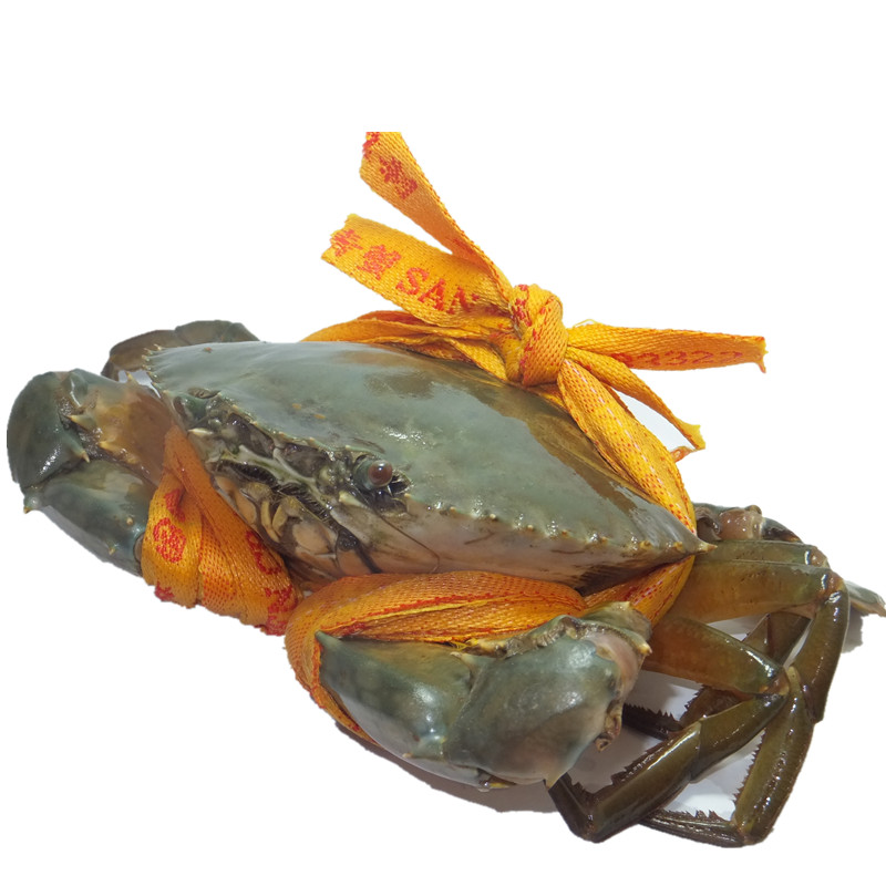 万里鲜 三门青蟹红膏蟹母蟹 约350g 2只 生鲜活螃蟹 参数