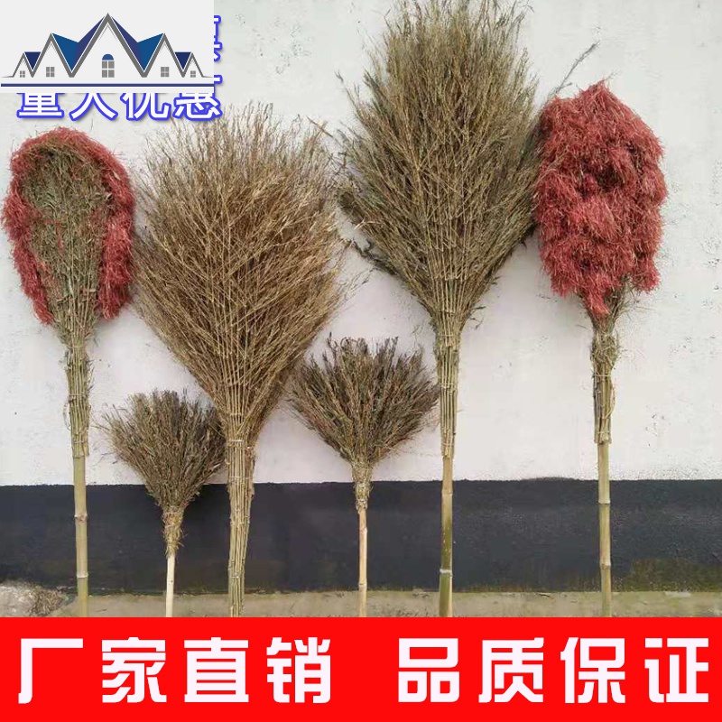 大扫把竹扫帚扫地马路扫院子的塑料丝庭院家用单个笤帚长扫室外 三维工匠高清大图