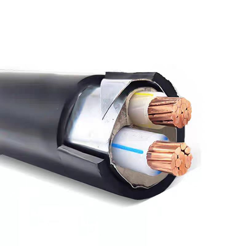 瑞鑫发达 铜芯铠装电力电缆 YJV22 2*6 米高清大图