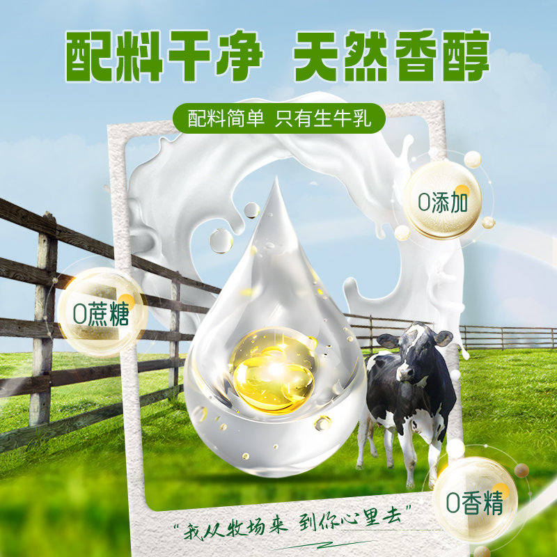 认养地球4.0纯牛奶200ml*10盒营养早餐奶宁垦牧场礼盒装奶香浓郁高清大图