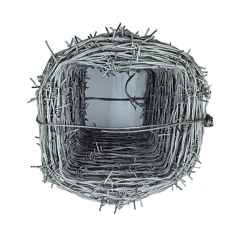 昌赞 刺绳 100米 捆高清大图