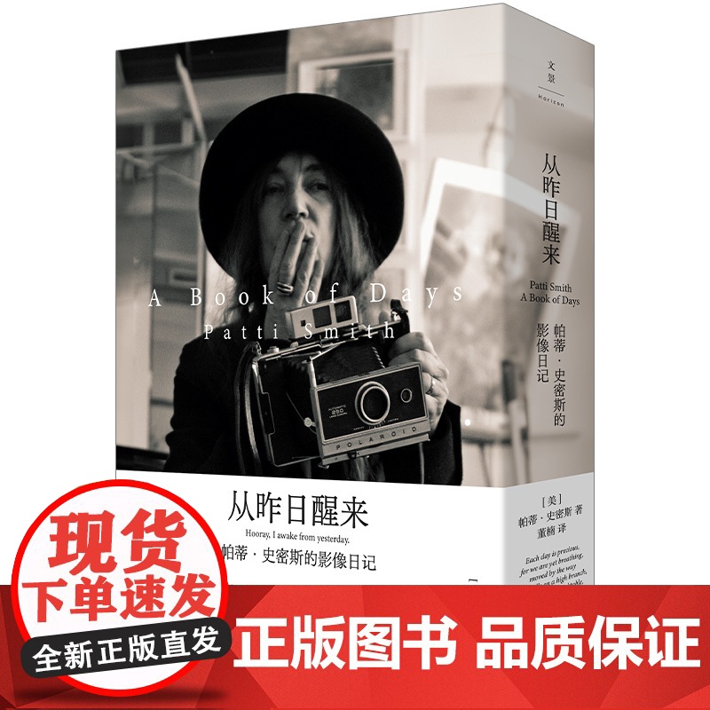 从昨日醒来 : 帕蒂·史密斯的影像日记 摇滚桂冠诗人帕蒂·史密斯新作 胶片与笔墨记下365+1次对生活的致意高清大图