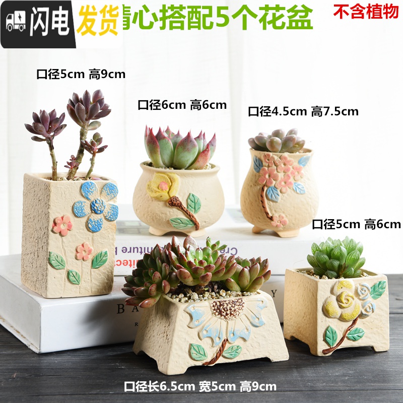 三维工匠韩式多肉花盆陶瓷大号大口径肉肉植物粗陶透气创意小花盆 SY手绘老庄3个 小花盆容器高清大图