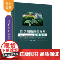 【正版新书】医学细胞图像分割关键技术 李东明 张丽娟 清华大学出版社 细胞图像 图像分割 神经常微分方程 深度学习