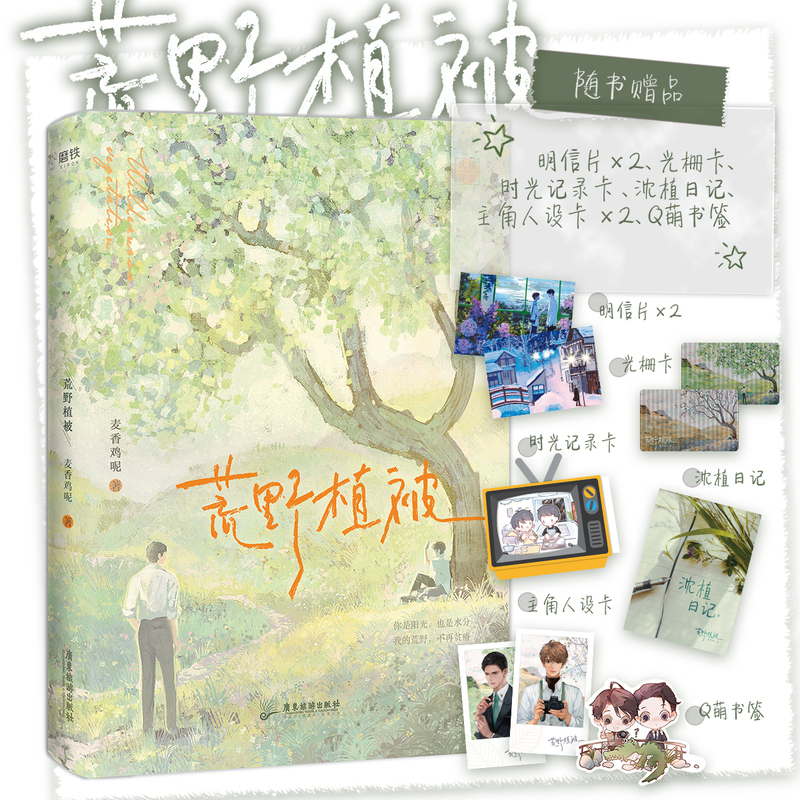 [正版]图书荒野植被 小说 麦香鸡呢 青春文学小说实体书 新增镜子 比熊 晚风3篇番外 图书 书籍