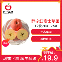 【中华特色】静宁馆 红六福 甘肃苹果12枚70—75#红富士 甘肃特产高原山地苹果 西北
