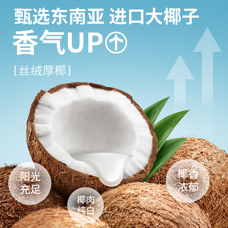轻上厚椰乳椰浆生椰拿铁椰子汁椰奶咖啡220ml*10瓶高清大图