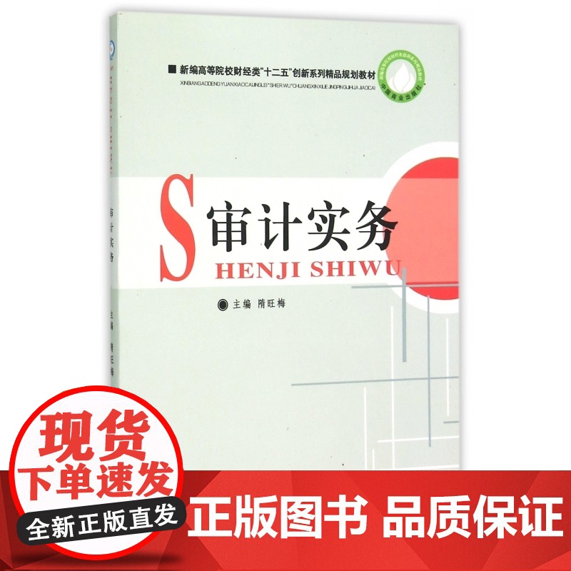 审计实务(新编高等院校财经类十二五创新系列精品规划教材)高清大图