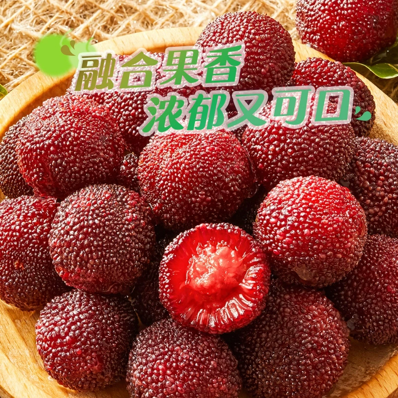 雪海梅乡 鲜汁杨梅 172g量贩 休闲零食 零食 蜜饯 果干 果脯 杨梅 梅子 健康低脂 办公室休闲零食