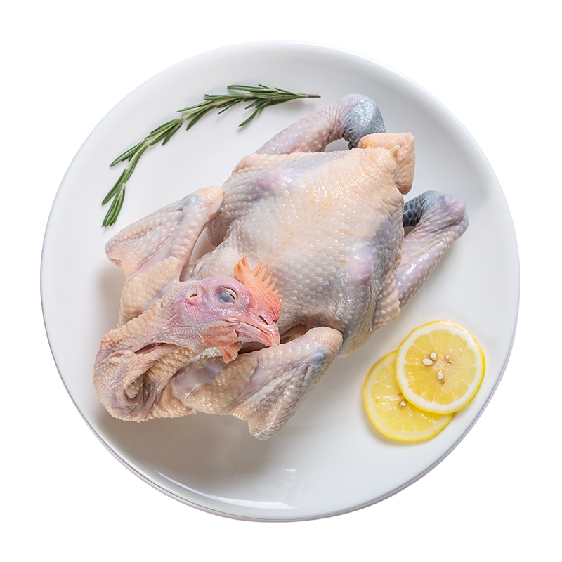 湘佳青脚土鸡jlf2