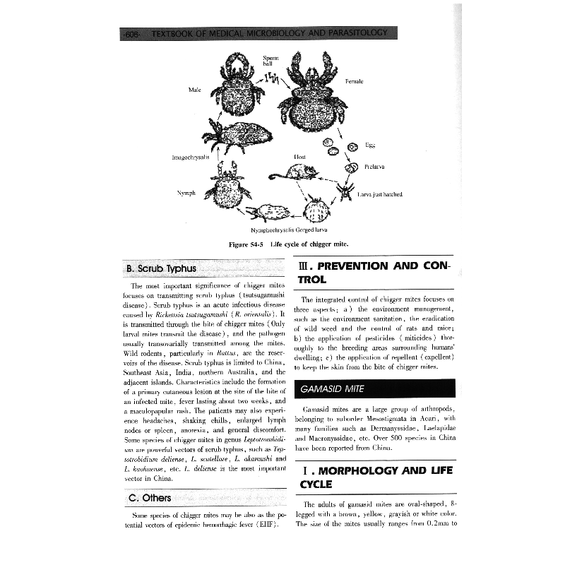 醉染图书医学微生物学与寄生虫学(英文改编版)9787030165787高清大图