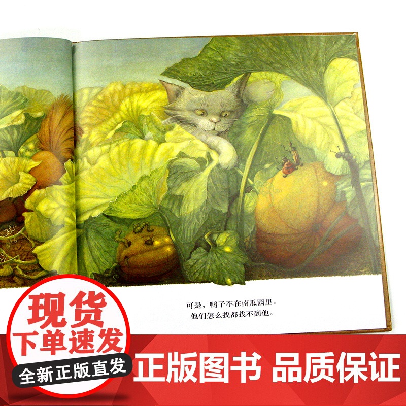 南瓜汤绘本一碗南瓜汤胡椒南瓜汤硬皮精装信谊绘本适合儿童看的书生气汤宝宝启蒙认知成长绘本亲子故事图画书籍读物0-3岁 信谊高清大图