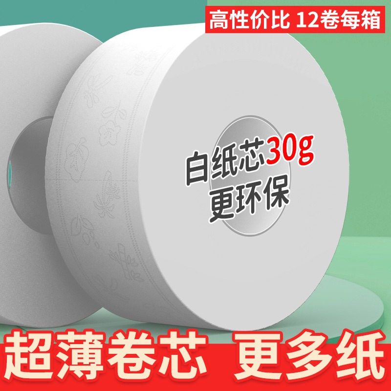 丽佳邦商用卷筒纸厕所手纸大卷纸卫生纸酒店专用【纸芯30克】700克/卷 12卷/箱
