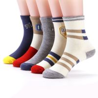 春秋款五双装童袜儿童袜子宝宝袜薄款春秋婴儿袜男童女童眼 衫伊格(shanyige)