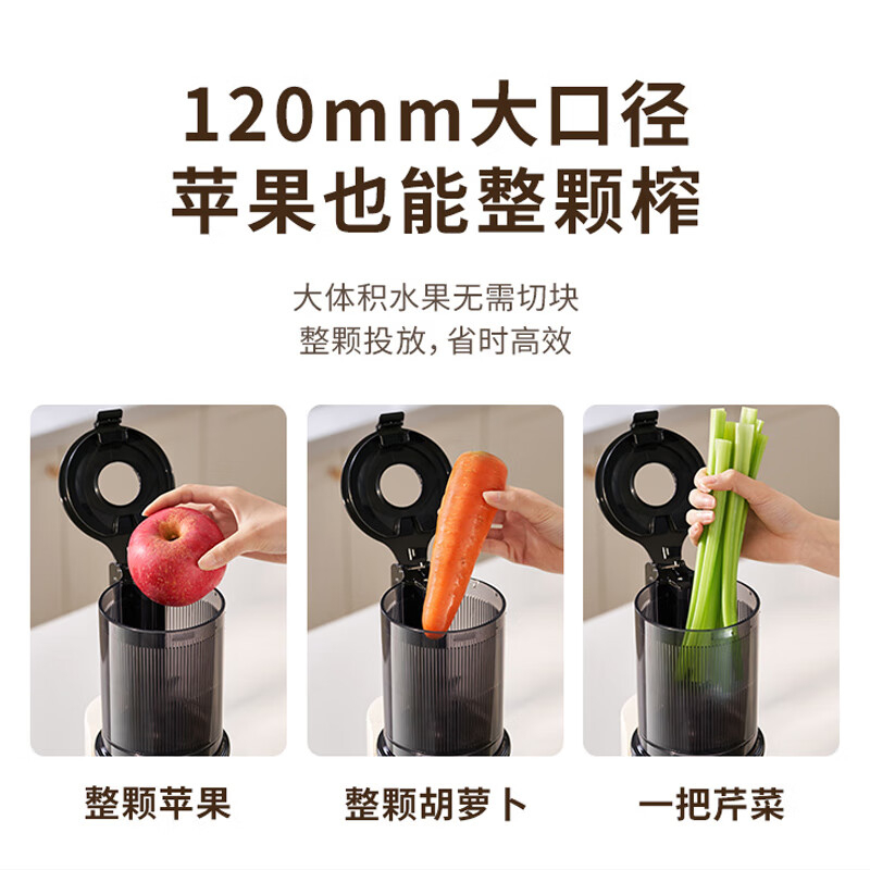 九阳原汁机1.2L低速慢榨不易氧化口感更佳LZ5高清大图