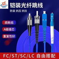 辉宏时代光纤线ST-ST单模双芯铠装光纤跳线防鼠咬抗拉力强防水光缆电信级2米