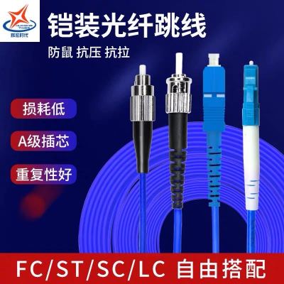 辉宏时代光纤线ST-ST单模双芯铠装光纤跳线防鼠咬抗拉力强防水光缆电信级2米