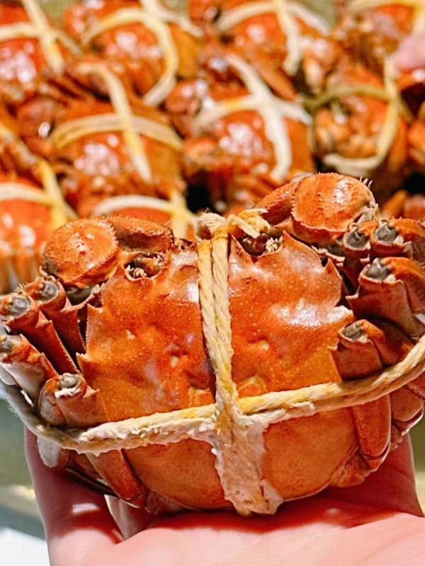 [活蟹]五个农民 南京高淳固城湖精品大闸蟹 公5两母4两 5对10只高清大图