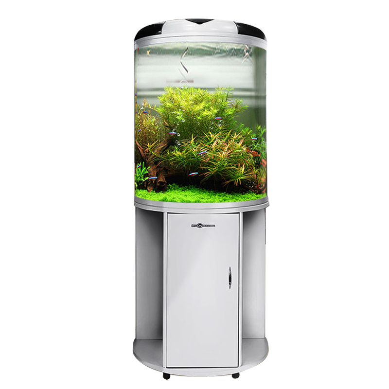 闽江半圆形鱼缸玻璃生态水族箱客厅家用小型圆柱金鱼缸大中型懒人高清大图