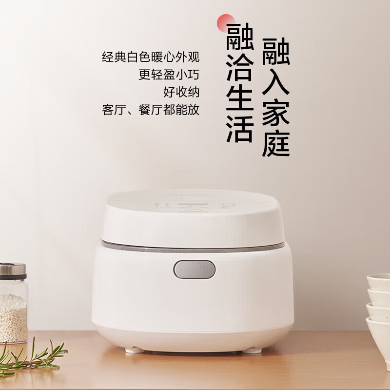 松下（Panasonic）电饭煲 SR-DL151高清大图
