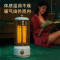 艾美特(Airmate)取暖器小太阳800W功率节能速热柔光低噪复古小型电暖气2档调节倾倒断电WR8-X4-1