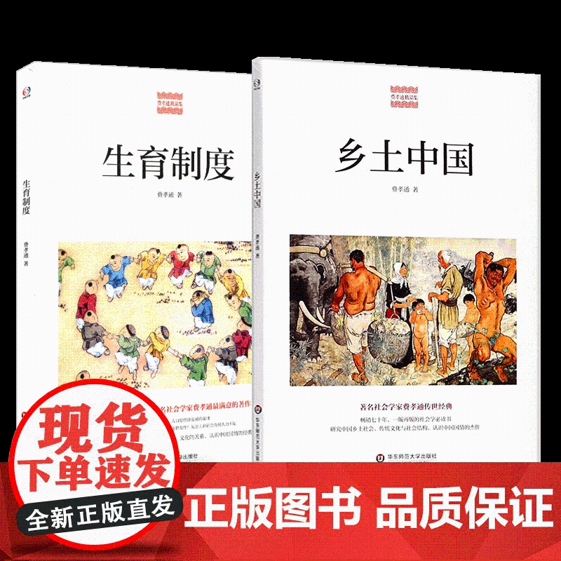 生育制度+乡土中国 费孝通精品集 中国农村社会学 认识中国国情 人口与经济社会文化 人口学研究 乡村社会学 华东师范大学高清大图