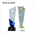 世纪大自然 精品水晶奖杯 SJDZR-B13 个