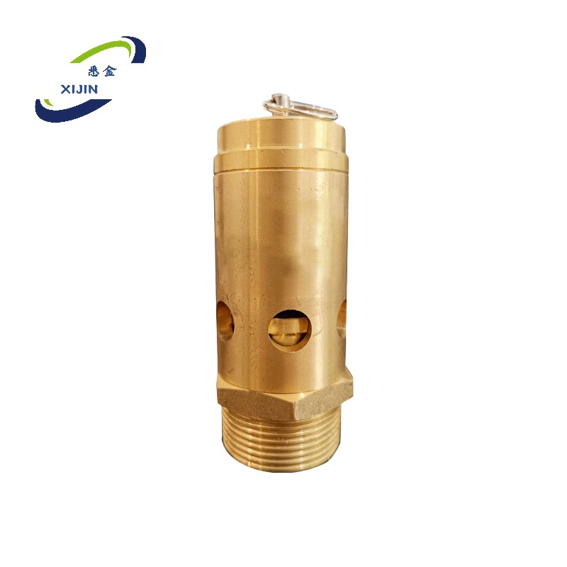 悉金 金属安全阀 XJ - KHR-1 个高清大图