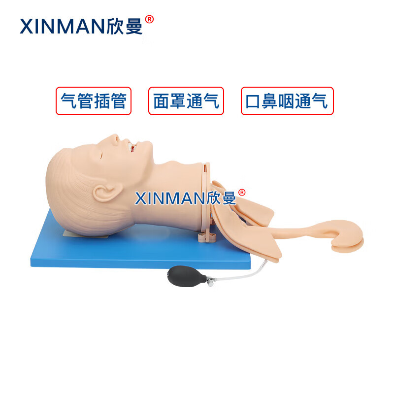 欣曼科教 高级全功能气道管理模型 高级气道管理模拟人XM-QD11高清大图
