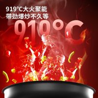 华帝百得燃气灶家用聚能灶燃气灶煤气灶液化气电两用嵌入式双灶鸳鸯灶QE80(液化气)