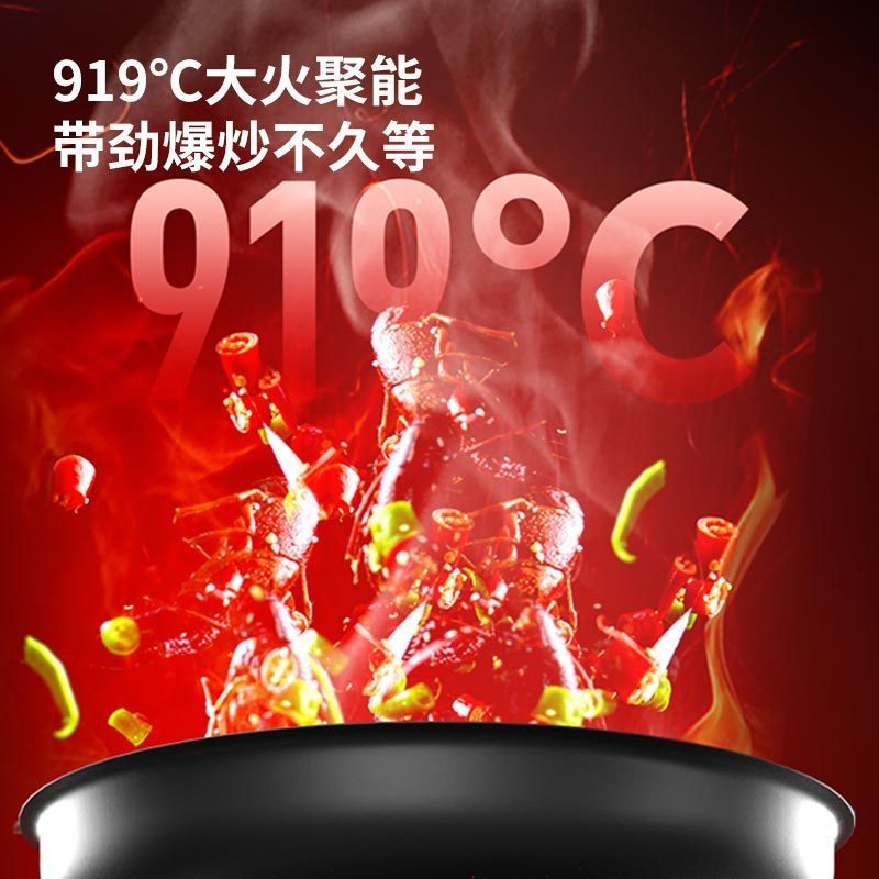 华帝百得燃气灶家用聚能灶燃气灶煤气灶液化气电两用嵌入式双灶鸳鸯灶QE80(液化气)