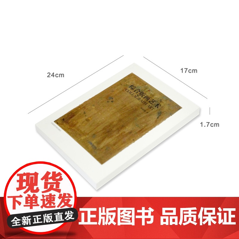 综合版画艺术 鲁利锋著高清大图