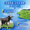 [12月生产][推荐]伊利臻浓牛奶高钙 250mL*16盒/箱 +50%钙 咖啡伴侣 礼盒装