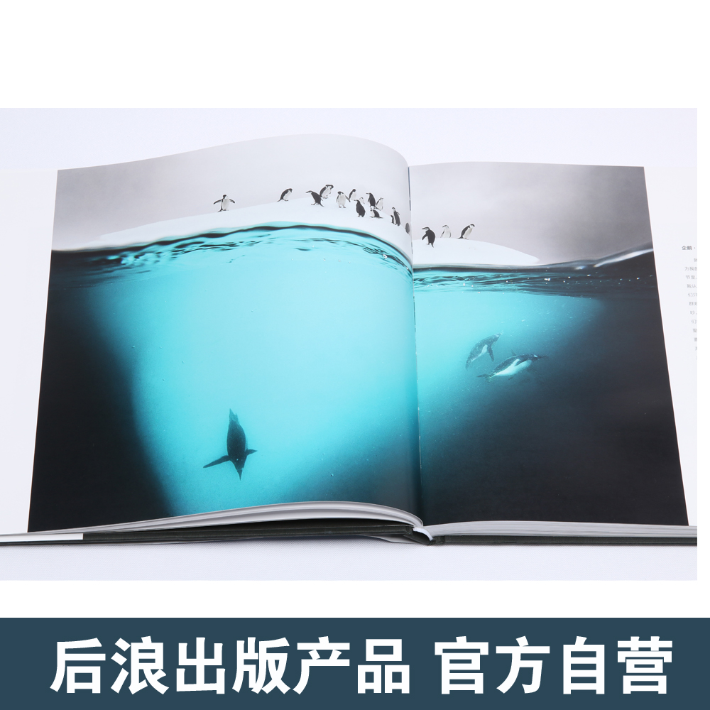 [正版] 荒野之歌 生物摄影年赛精选作品 自然摄影大师经典之选 原创风光摄影作品欣赏 摄影教程书籍高清大图