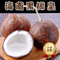 【西沛生鲜】海南黑椰皇 2个装 单果550-950g 新鲜椰子 当季热带水果 汁水充沛